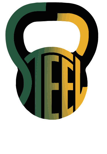 light logo